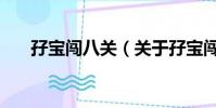 孖宝闯八关(关于孖宝闯八关的简介)