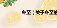冬至(关于冬至的简介)