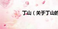丁山(关于丁山的简介)