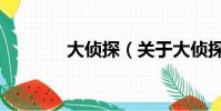 大侦探(关于大侦探的简介)