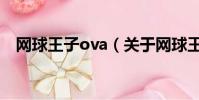 网球王子ova(关于网球王子ova的简介)