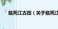 临死江古田(关于临死江古田的简介)