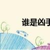 谁是凶手（关于谁是凶手的简介）