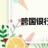 跨国银行（关于跨国银行的简介）