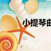 小提琴曲（关于小提琴曲的简介）