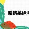 哈纳莱伊湾（关于哈纳莱伊湾的简介）