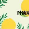 叶德娴（关于叶德娴的简介）