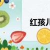 红孩儿（关于红孩儿的简介）