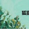 狐獴（关于狐獴的简介）