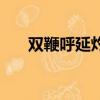 双鞭呼延灼（关于双鞭呼延灼的简介）