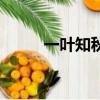 一叶知秋（关于一叶知秋的简介）