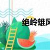 绝岭雄风（关于绝岭雄风的简介）