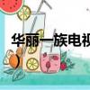 华丽一族电视剧（关于华丽一族电视剧的简介）