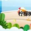 柠檬树（关于柠檬树的简介）