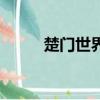 楚门世界（关于楚门世界的简介）