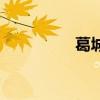 葛城（关于葛城的简介）