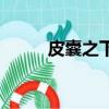 皮囊之下（关于皮囊之下的简介）