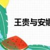 王贵与安娜（关于王贵与安娜的简介）