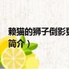 赖猫的狮子倒影更新时间（关于赖猫的狮子倒影更新时间的简介）