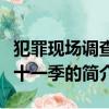 犯罪现场调查第十一季（关于犯罪现场调查第十一季的简介）