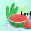 lamb（关于lamb的简介）