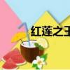 红莲之王（关于红莲之王的简介）
