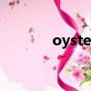 oyster（关于oyster的简介）