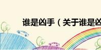 谁是凶手(关于谁是凶手的简介)