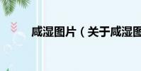 咸湿图片(关于咸湿图片的简介)