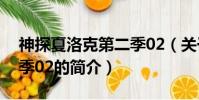 神探夏洛克第二季02(关于神探夏洛克第二季02的简介)