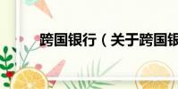 跨国银行(关于跨国银行的简介)