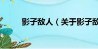 影子敌人(关于影子敌人的简介)