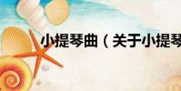 小提琴曲(关于小提琴曲的简介)