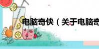 电脑奇侠(关于电脑奇侠的简介)