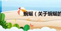 蜿蜒(关于蜿蜒的简介)