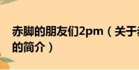 赤脚的朋友们2pm(关于赤脚的朋友们2pm的简介)