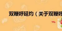双鞭呼延灼(关于双鞭呼延灼的简介)