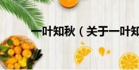 一叶知秋(关于一叶知秋的简介)