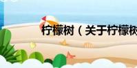 柠檬树(关于柠檬树的简介)