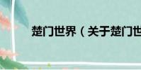 楚门世界(关于楚门世界的简介)