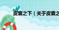 皮囊之下(关于皮囊之下的简介)