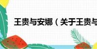 王贵与安娜(关于王贵与安娜的简介)