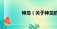 神龙(关于神龙的简介)