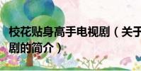 校花贴身高手电视剧(关于校花贴身高手电视剧的简介)