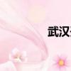 武汉开锁电话（武汉开锁）