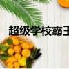 超级学校霸王（关于超级学校霸王的简介）