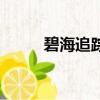 碧海追踪（关于碧海追踪的简介）