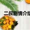 二叔剧情介绍结局是什么（二叔剧情介绍）