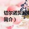 切尔诺贝利电视剧（关于切尔诺贝利电视剧的简介）