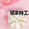 邻家特工2（关于邻家特工2的简介）